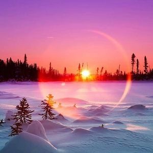 Meet your Posher, Autumn